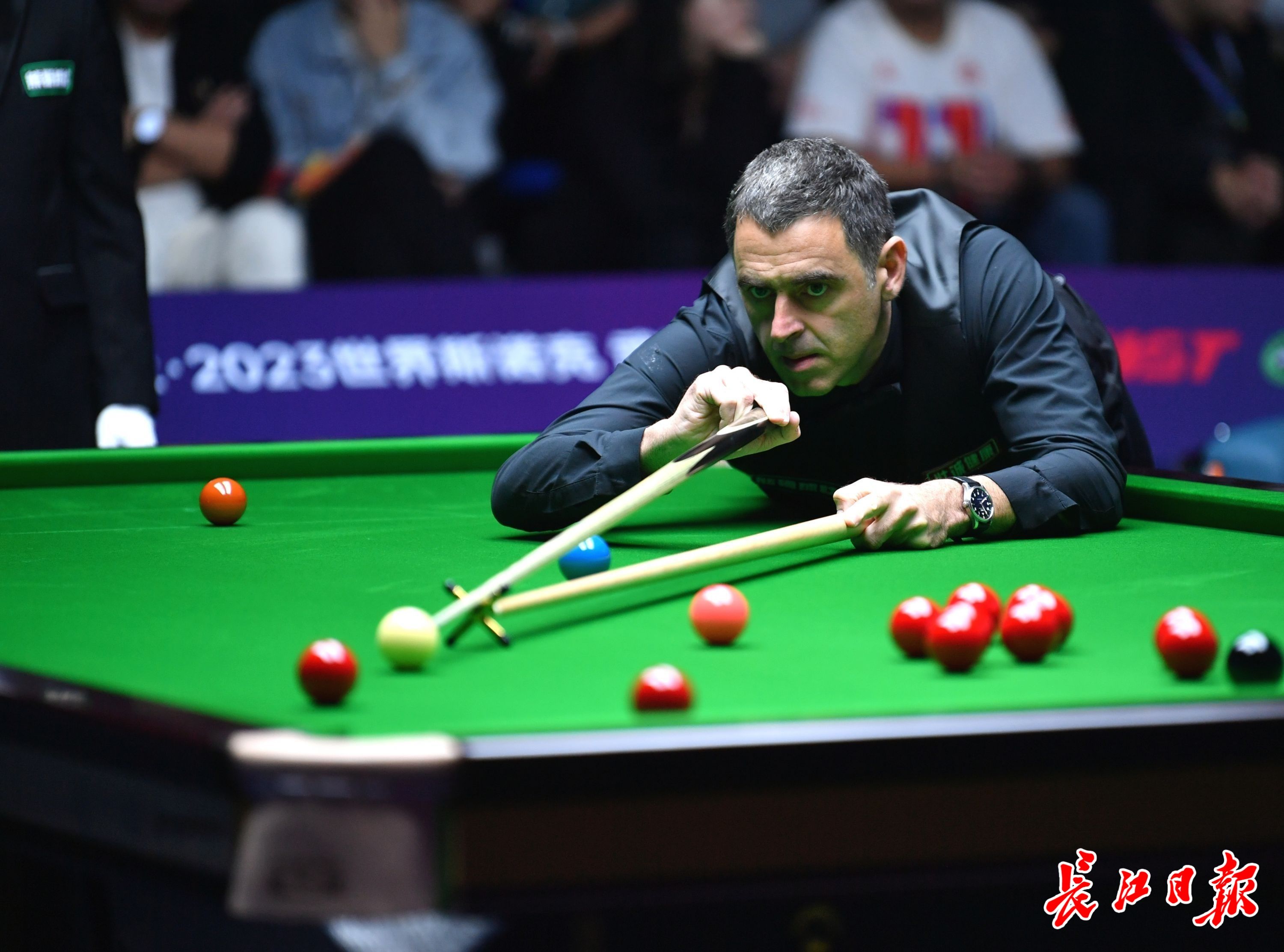 媒体和球迷 媒体和球迷